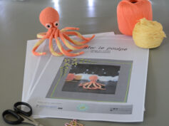 Sur un fond gris, sont posés plusieurs pages du patron de crochet de Wlater le poulpe. Dans le coin supérieur gauche des pages, le poulpe crocheté en corail et jaune est posé nous regardant, sur la droite se trouve les pelotes de la couleur du poulpe. À l'avant plan, se trouve des ciseaux, des anneaux marqueurs ainsi qu'un crochet. En arrière plan, il y a une guirlande lumineuse ainsi qu'un nuage de ouate.